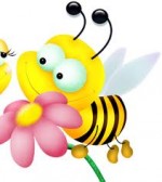 Пчела chinchillas