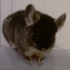 Нафаня