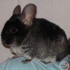 Клим