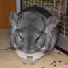 Нафаня