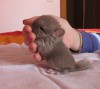 5 дней