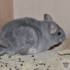 Прованс