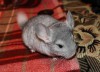 1 месяц и 3 недельки