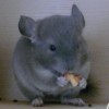 Мимино