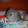 Оливер
