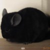Михаил
