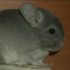 Юкико