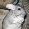 Нафаня