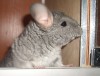 4.5мес со вспышкой