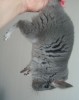25.05.12 ; 3,5 мес