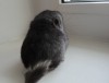 8 дней