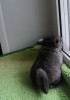 1 мес.