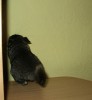 1 мес.