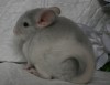 1 месяц 5 дней