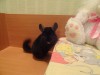 10 месяцев