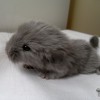Куско
