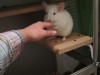 5 мес