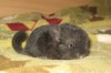 1 день