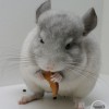 Лима