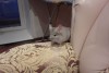 На прогулке