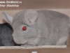 2 года 11 мес