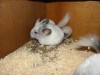 1мес 3 недели