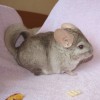КАСПЕР