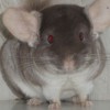 Микко