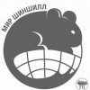 Стефани
