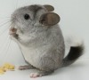 26/07/2012