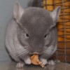 Оливер