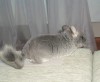 2мес