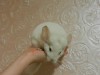 3 мес