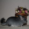 Самир