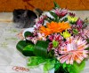 1месяц