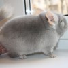 Сказка