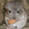 Нафаня