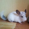 Геннадий