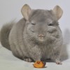 Латте Макиато