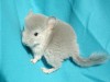 28 дней