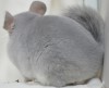 4 мес 25 дней при дневном освещении без вспышки
