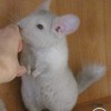 Пинки