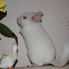 Марио