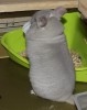около 6 мес.
