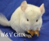 май 2012