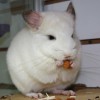 Кипр