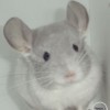 Марик