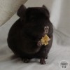 Карапуз