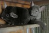 29/10/13