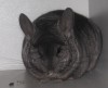 12.11.13